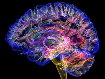 大黑屌一级特色特黄视频大脑植入物有助于严重头部损伤恢复